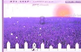 如何做才能在职场上情绪自由?-热门问答网站